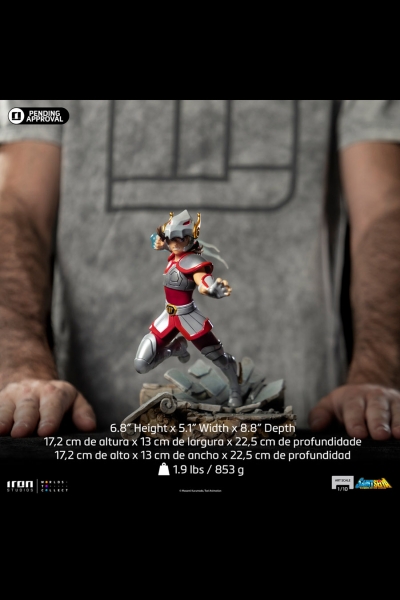 Inconnu Bandai Tamashii Nations Saint Seiya Saint Cloth Myth Ex Action Figure Ha