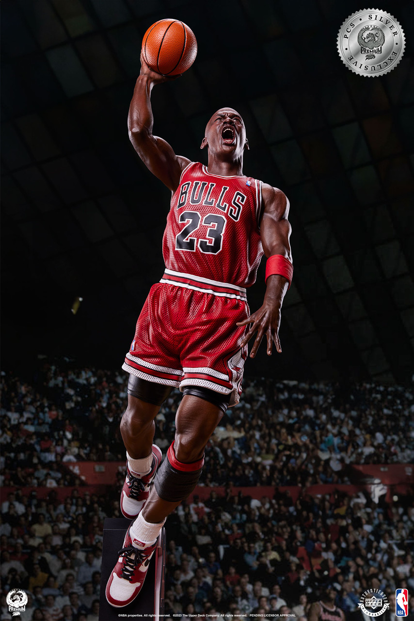 Jordan best sale bulls 23