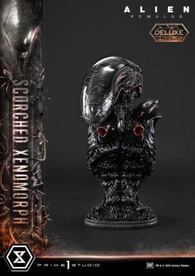Prime1 Studios- Alien: Romulus Museum Masterline XL Statue 1/3